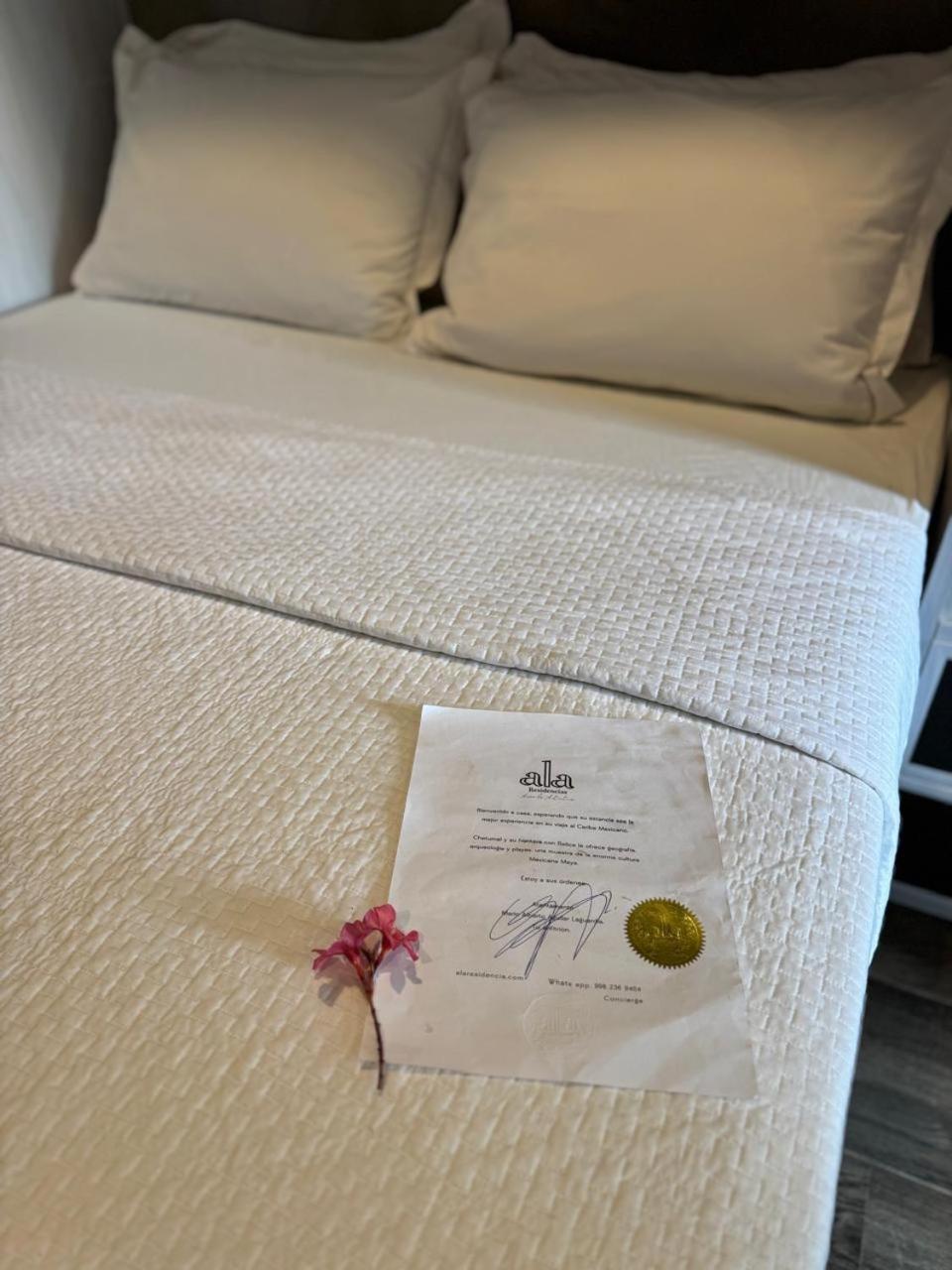 Hotel "Ala Residencias" تْشيتومال المظهر الخارجي الصورة